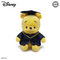 Disney 9" Graduation Pooh Plush